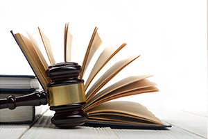 Book of Bail Bond Laws